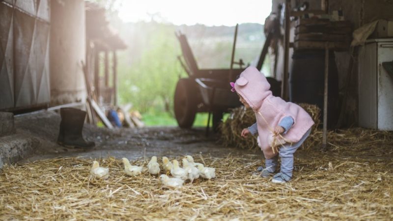 Comprendre le tempérament de votre enfant