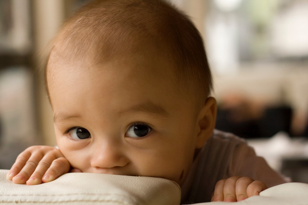 Le cerveau de votre bébé : comment les parents peuvent favoriser un développement sain